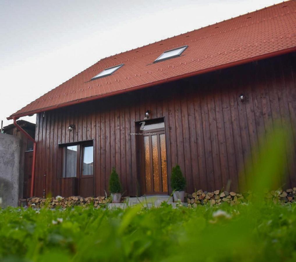 Hotel Casa Sura Sasilor à Sibiu Extérieur photo